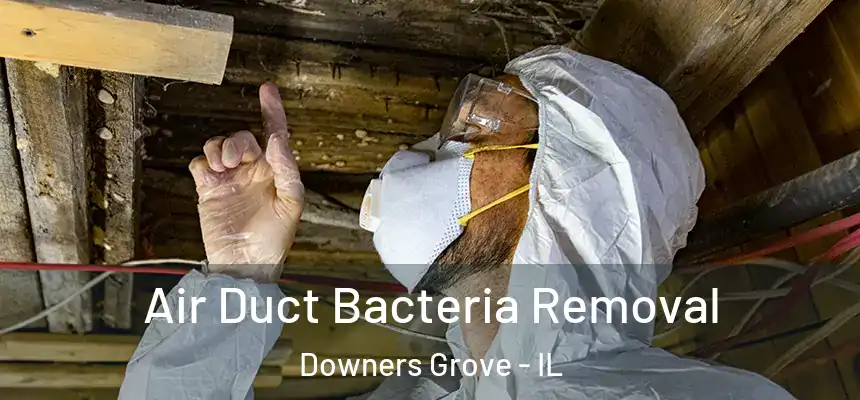 Air Duct Bacteria Removal Downers Grove - IL