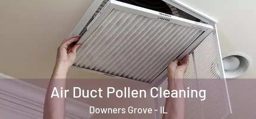 Air Duct Pollen Cleaning Downers Grove - IL