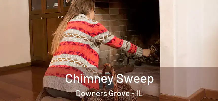 Chimney Sweep Downers Grove - IL