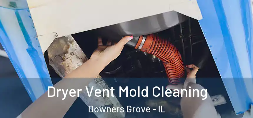  Dryer Vent Mold Cleaning Downers Grove - IL