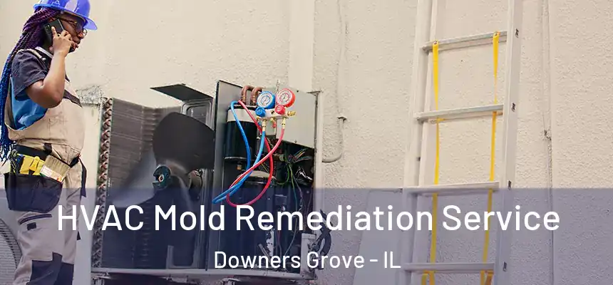 HVAC Mold Remediation Service Downers Grove - IL