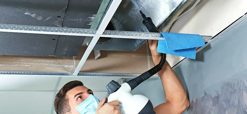 Our Air Duct Rodent Removal Services in Downers Grove, IL