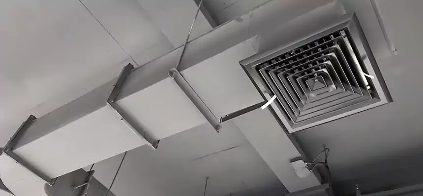 Restorative Allergy Relief Vent Cleaning – Coil, Blower & Housing Detail in Downers Grove