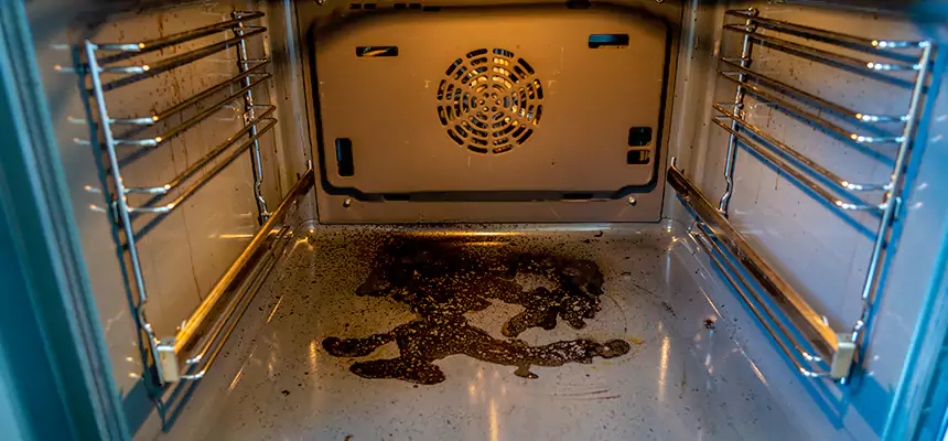 Our Dryer Vent Mold Cleaning Services in Downers Grove, IL