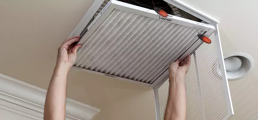 Our Insect Removal from Air Ducts Services in Downers Grove, IL