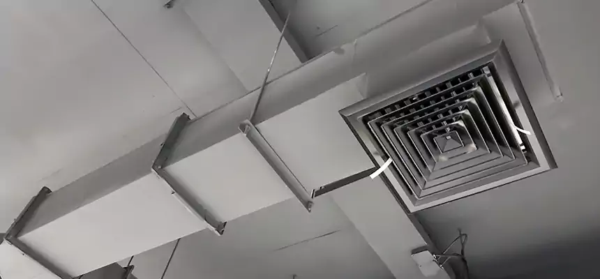 Our Rodent Droppings In Vents Services in Downers Grove, IL