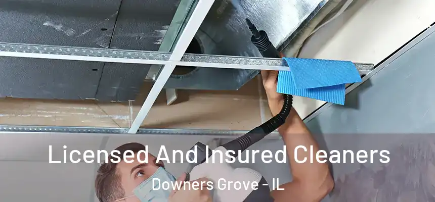 Licensed And Insured Cleaners Downers Grove - IL