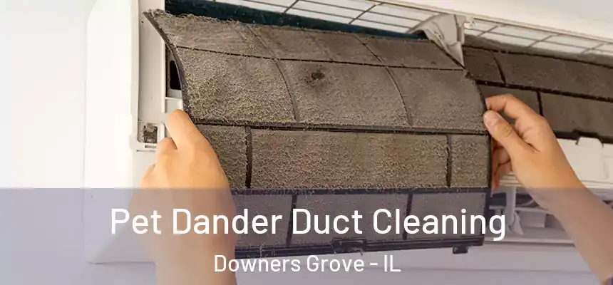  Pet Dander Duct Cleaning Downers Grove - IL