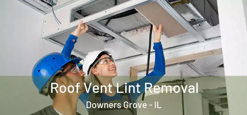 Roof Vent Lint Removal Downers Grove - IL