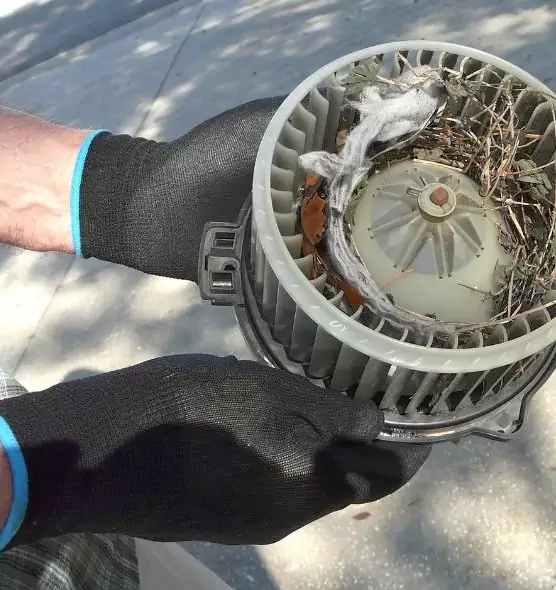 About Air Duct Mice Removal in Downers Grove, IL