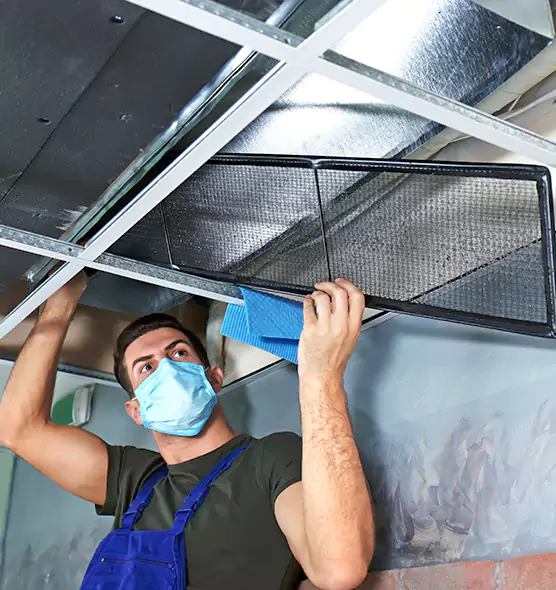 Professional Air Duct Pollen Cleaning in Downers Grove, IL