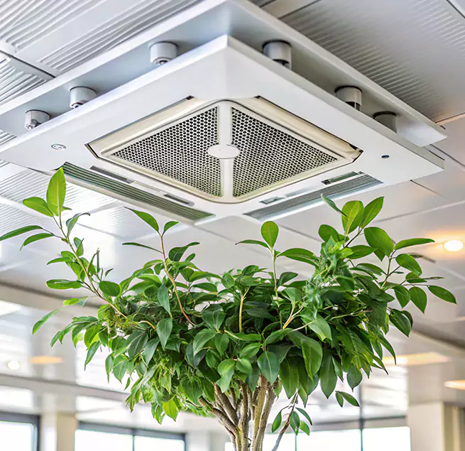 Why Homeowners & Businesses Trust Us in Downers Grove, IL