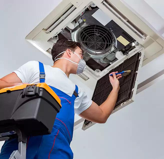 Why Homeowners & Businesses Trust Us in Downers Grove, IL?