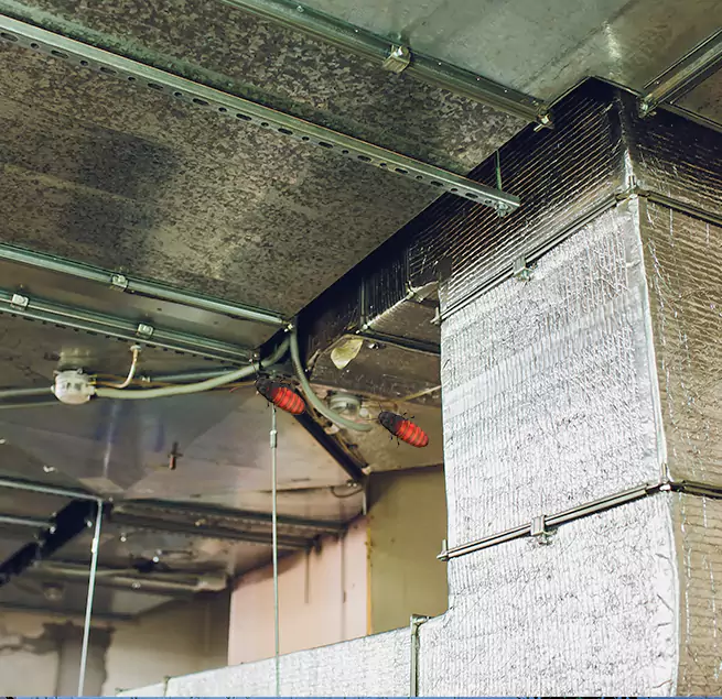 Why Homeowners & Businesses Trust Us Downers Grove, IL?