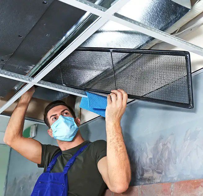 Why Homeowners & Businesses Trust Us in Downers Grove, IL?